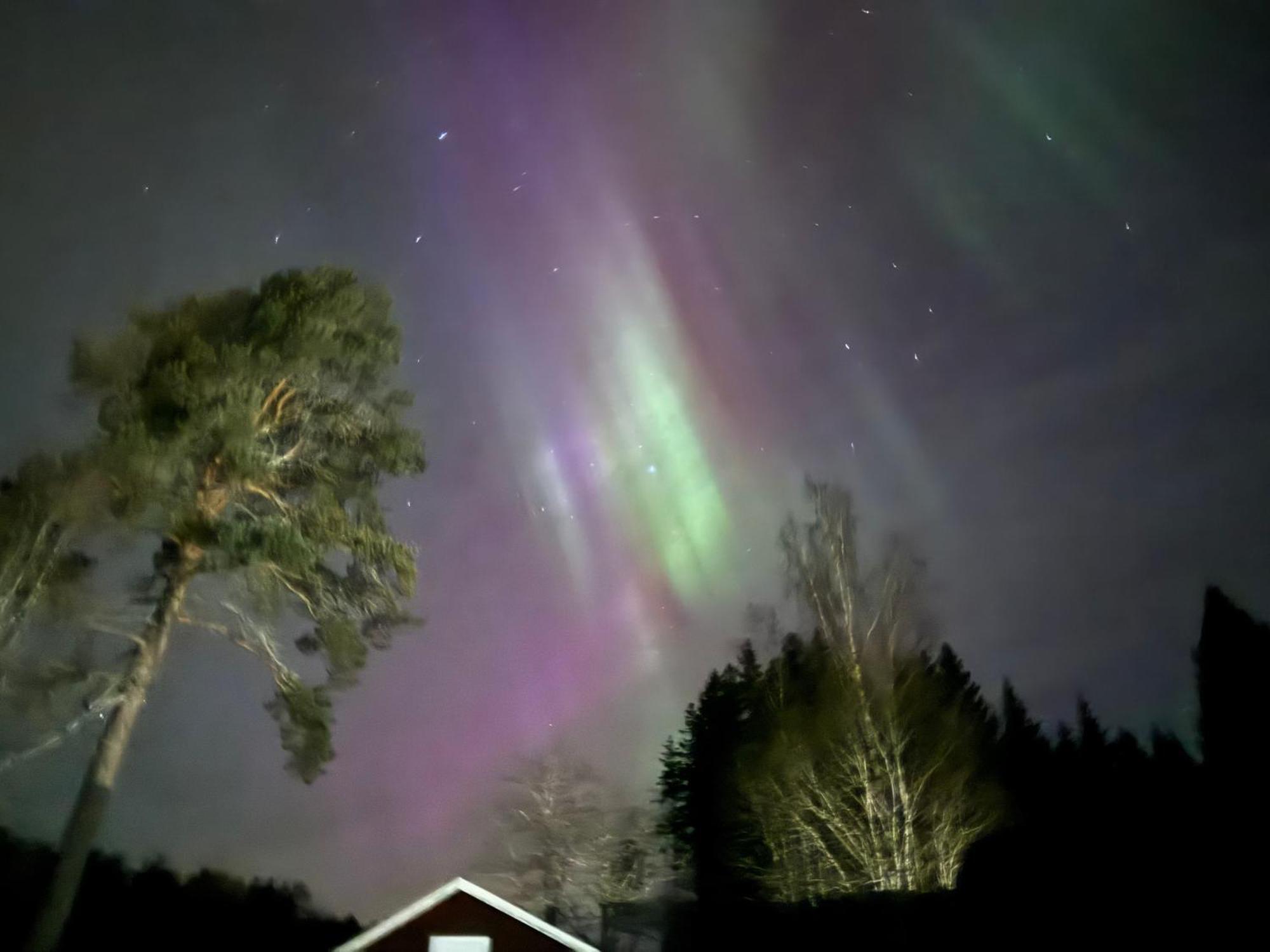 Ett Hus Med 3 Sovrum Med Supersnabba Internet Fiberanslutningen 1000Mb-100Mb I Hoeg, 7 Minuter Fran Hudiksvall Villa Exterior foto