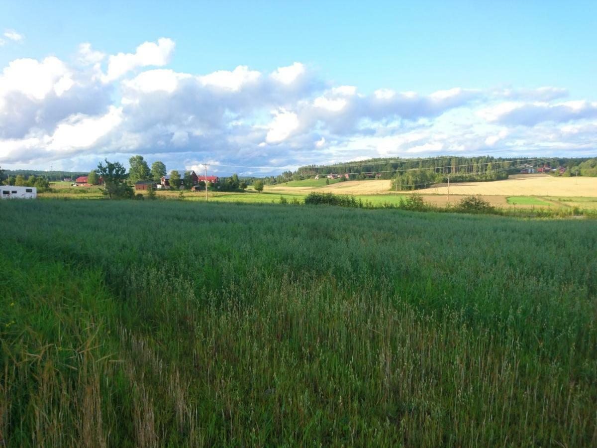 Ett Hus Med 3 Sovrum Med Supersnabba Internet Fiberanslutningen 1000Mb-100Mb I Hoeg, 7 Minuter Fran Hudiksvall Villa Exterior foto