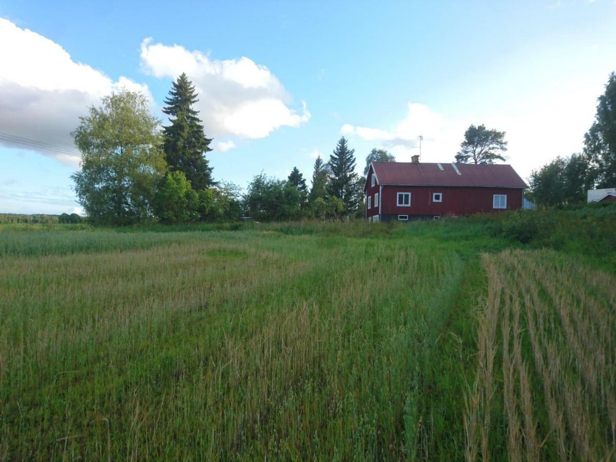 Ett Hus Med 3 Sovrum Med Supersnabba Internet Fiberanslutningen 1000Mb-100Mb I Hoeg, 7 Minuter Fran Hudiksvall Villa Exterior foto