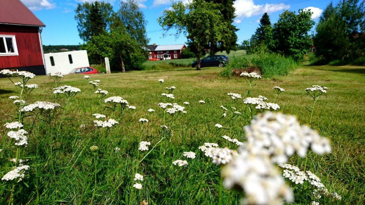 Ett Hus Med 3 Sovrum Med Supersnabba Internet Fiberanslutningen 1000Mb-100Mb I Hoeg, 7 Minuter Fran Hudiksvall Villa Exterior foto